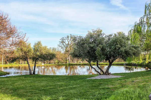 $365,000 | 19425 Bonanza King Drive, Cottonwood, CA 96022