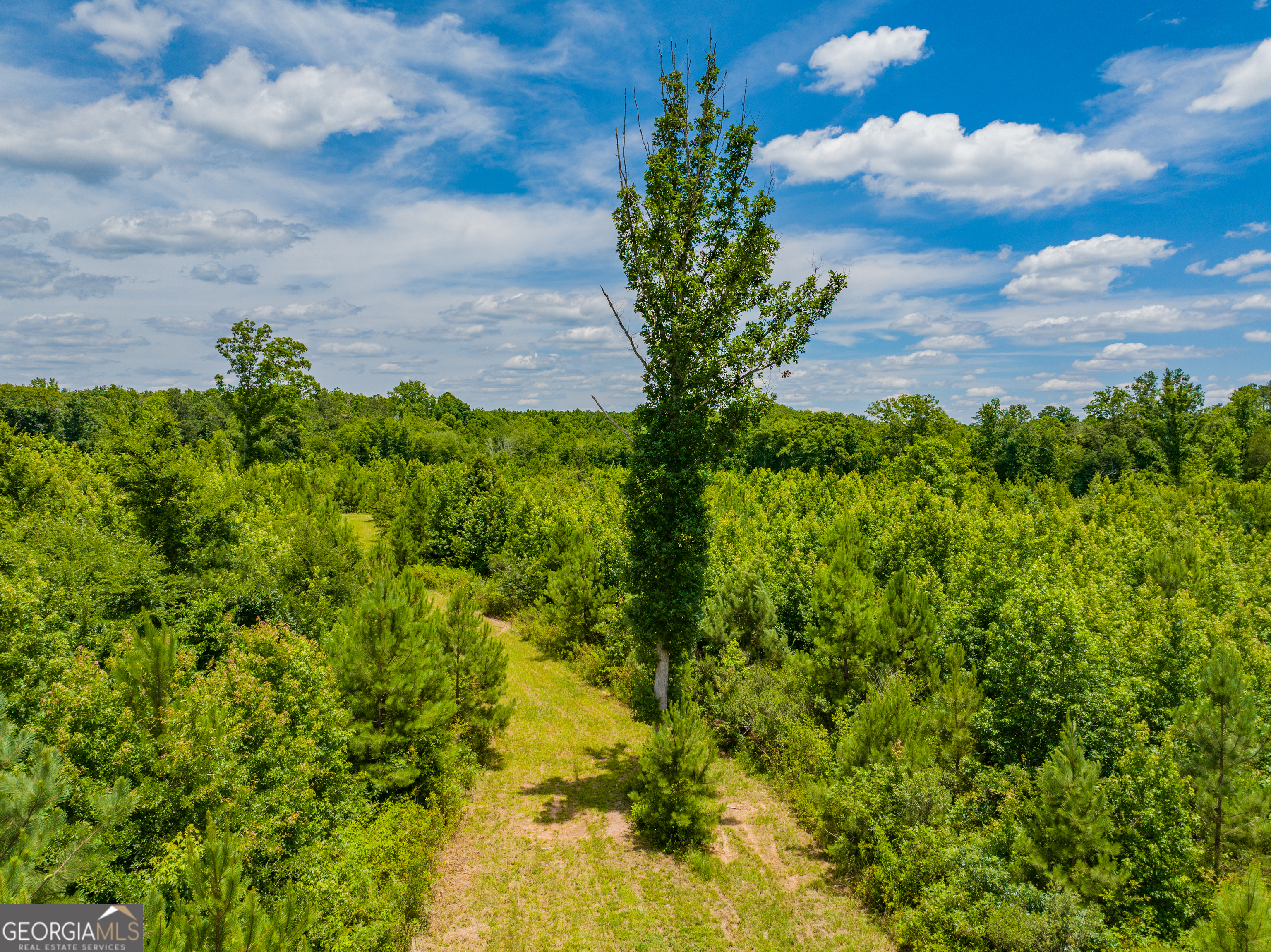 21.4-acres Cochran Road Madison, GA 30650 - Photo 7 of 12