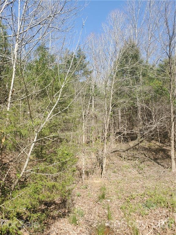 1275 Carl Road York, SC 29745 - Photo 2 of 7 a close up of a wall