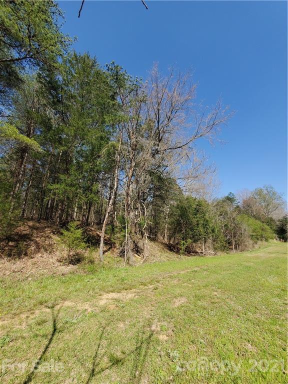 1275 Carl Road York, SC 29745 - Photo 3 of 7 a view of a field with a tree
