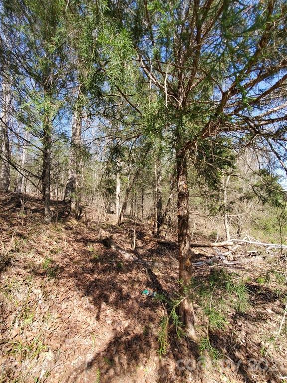 1275 Carl Road York, SC 29745 - Photo 4 of 7