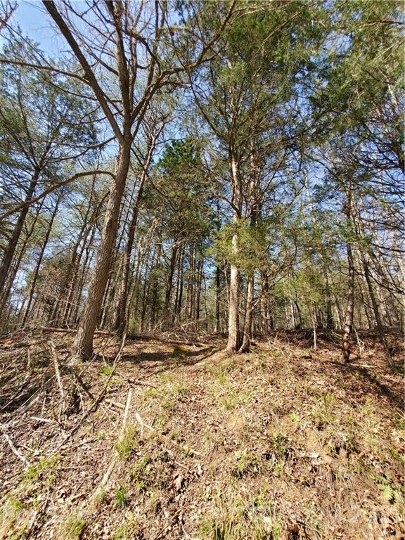 1275 Carl Road York, SC 29745 - Photo 5 of 7