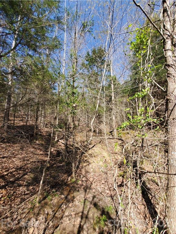1275 Carl Road York, SC 29745 - Photo 6 of 7 a backyard of a building