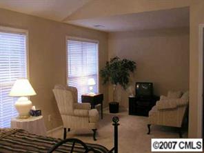 4118 Desert Rose Court Fort Mill, SC 29708 - Photo 8 of 8 a living room with furniture and a potted plant