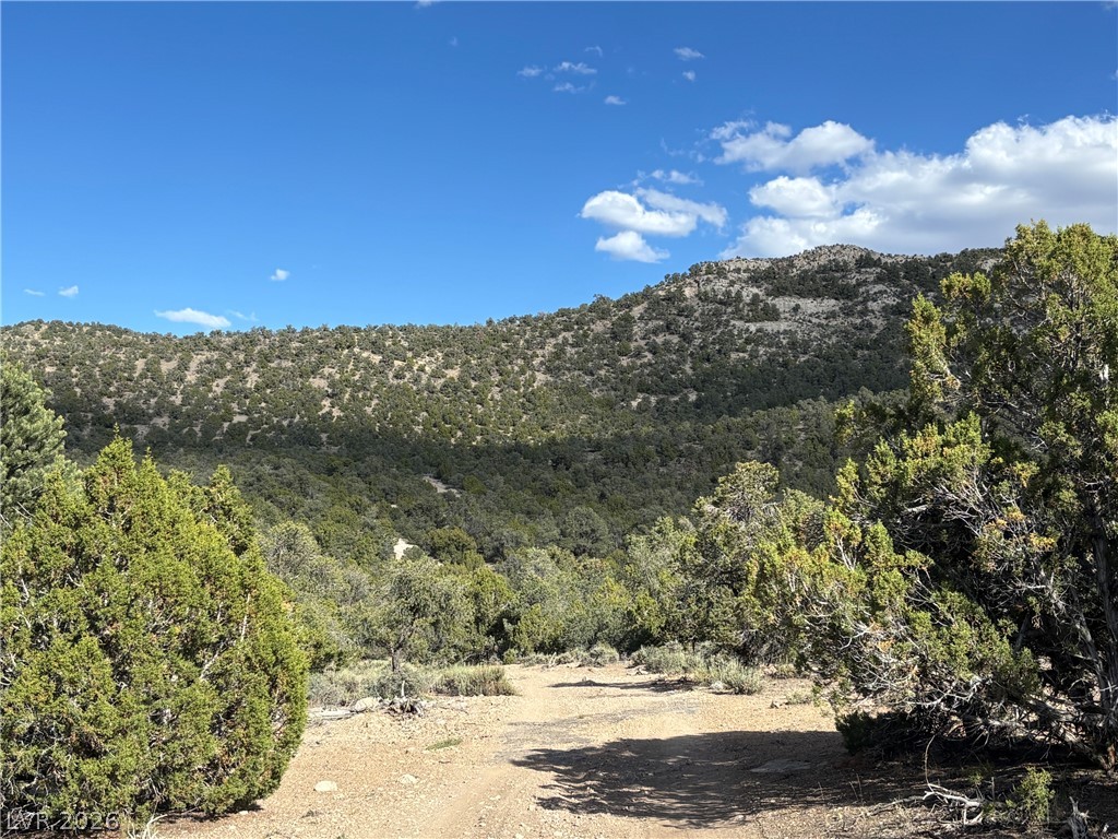 Off Of Lackawana Road Ely, NV 89301 - Photo 10 of 13 A rugged mountain landscape awaits, offering unparalleled views and natural splendor.