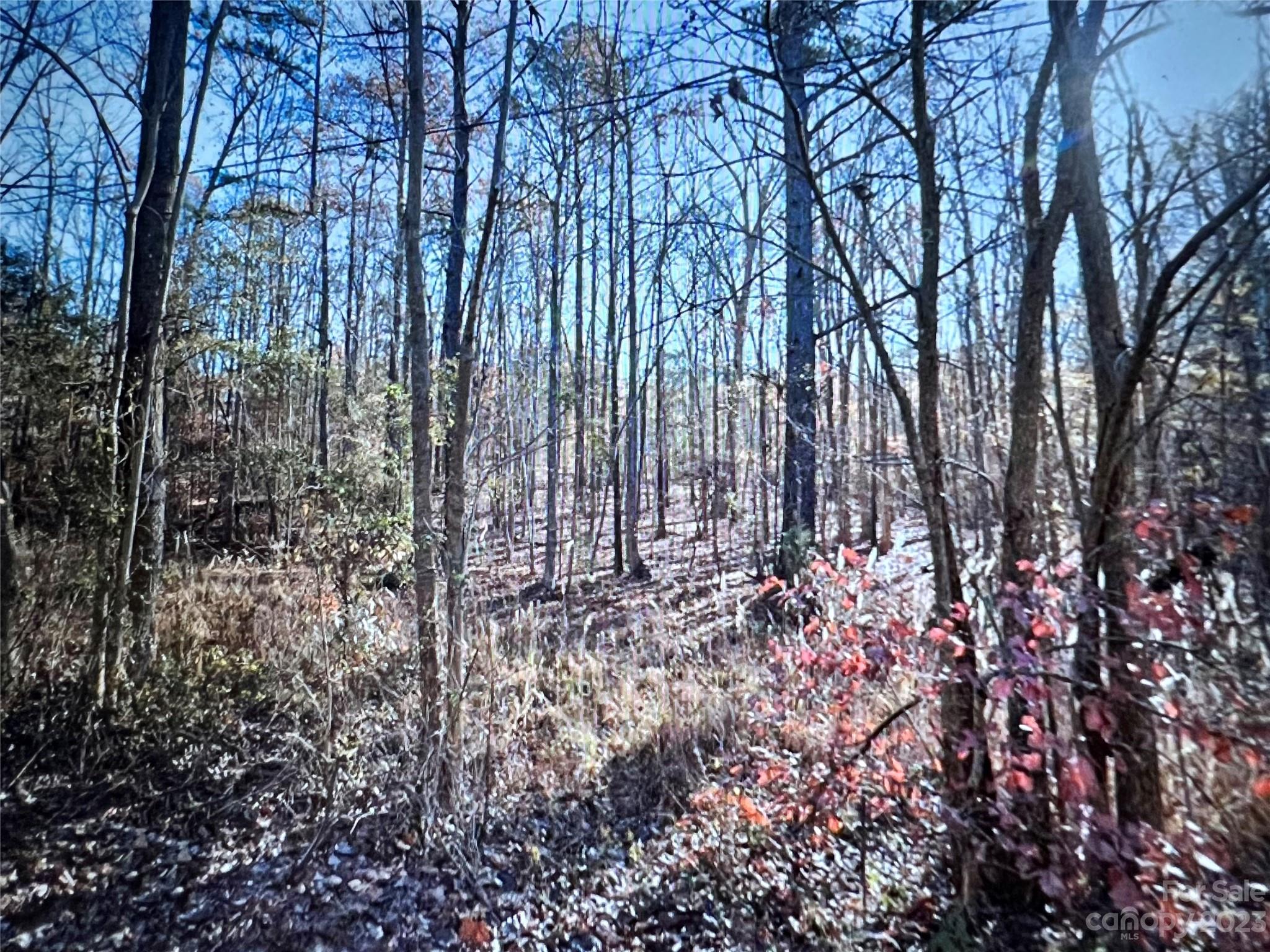 .61-acres Carmel Road Lancaster, SC 29720 - Photo 1 of 7 Gallery Image 1