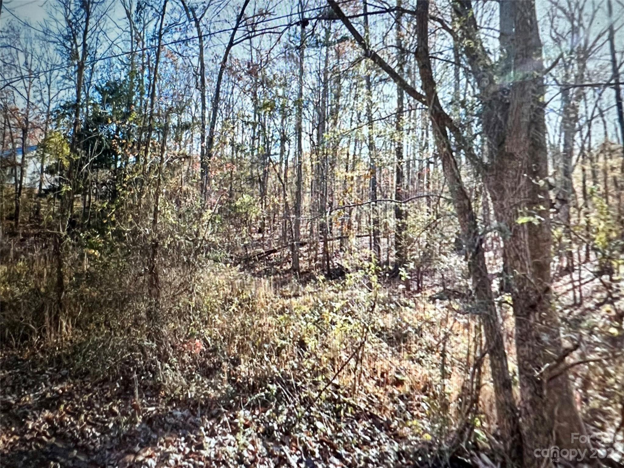 .61-acres Carmel Road Lancaster, SC 29720 - Photo 2 of 7 Gallery Image 2