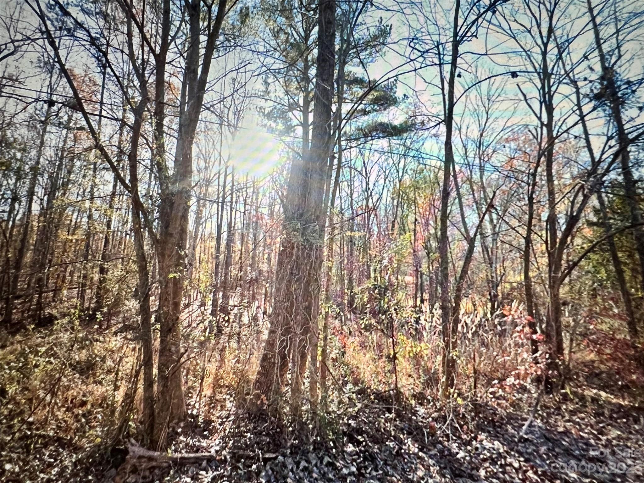 .61-acres Carmel Road Lancaster, SC 29720 - Photo 3 of 7 Gallery Image 3