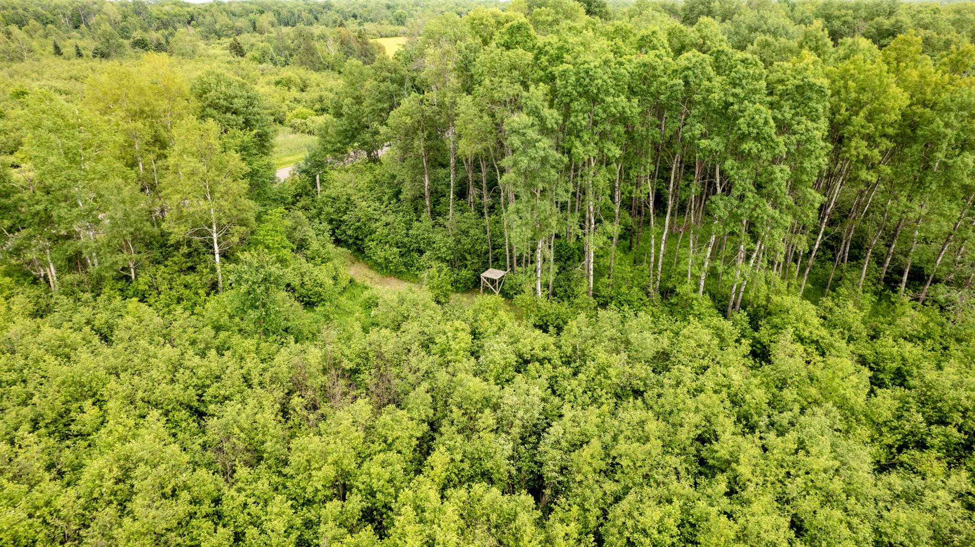 N3127 Cth O Catawba, WI 54515 - Photo 11 of 35 Gallery Image 11