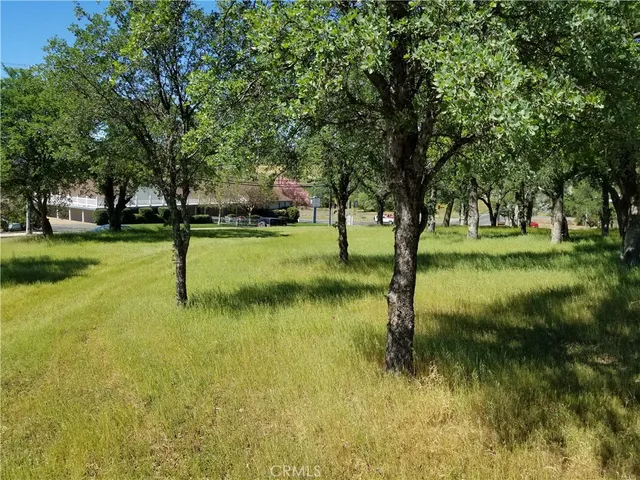 a backyard of a house with a yard and lake view