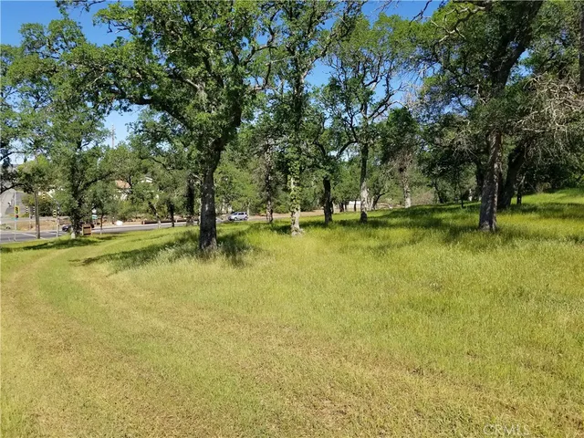 a view of swimming pool with yard