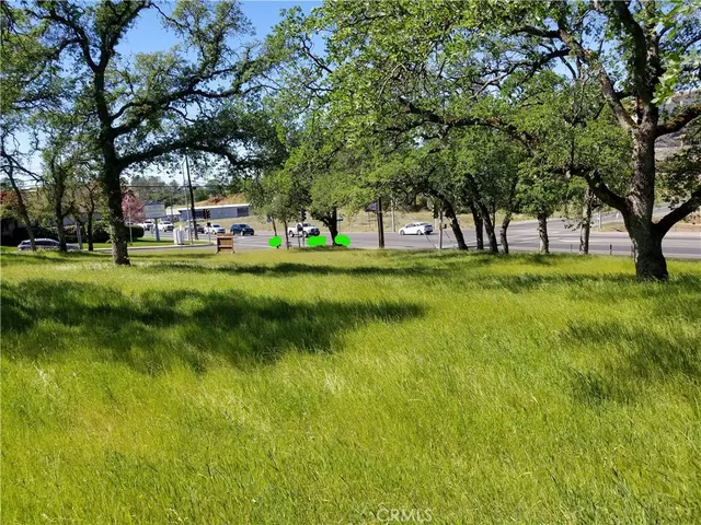 a backyard of a house with lots of green space and fountain