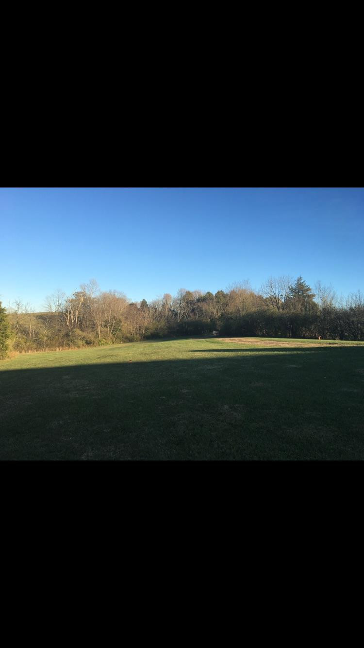 544 Carvers Ferry Road Richmond, KY 40475 - Photo 10 of 19 Photo 10