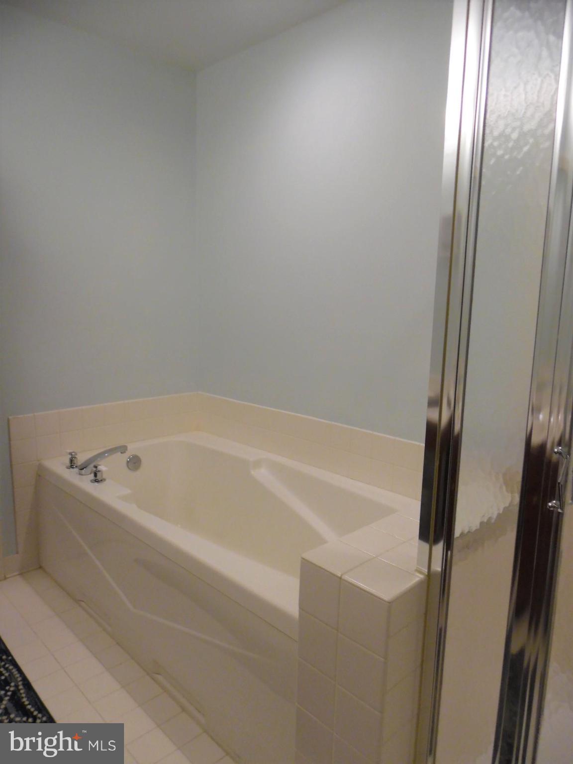2410 Rippling Brook Road Frederick, MD 21701 - Photo 13 of 22 Soaking tub/with seperate shower
