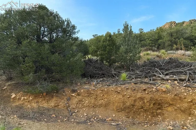 $75,000 | 2973 Driftwood Road, Westcliffe, CO 81252