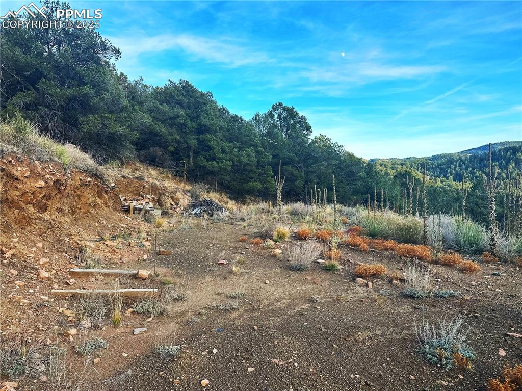 2973 Driftwood Road Westcliffe, CO 81252 - Photo 3 of 16 Flat, already excavated area