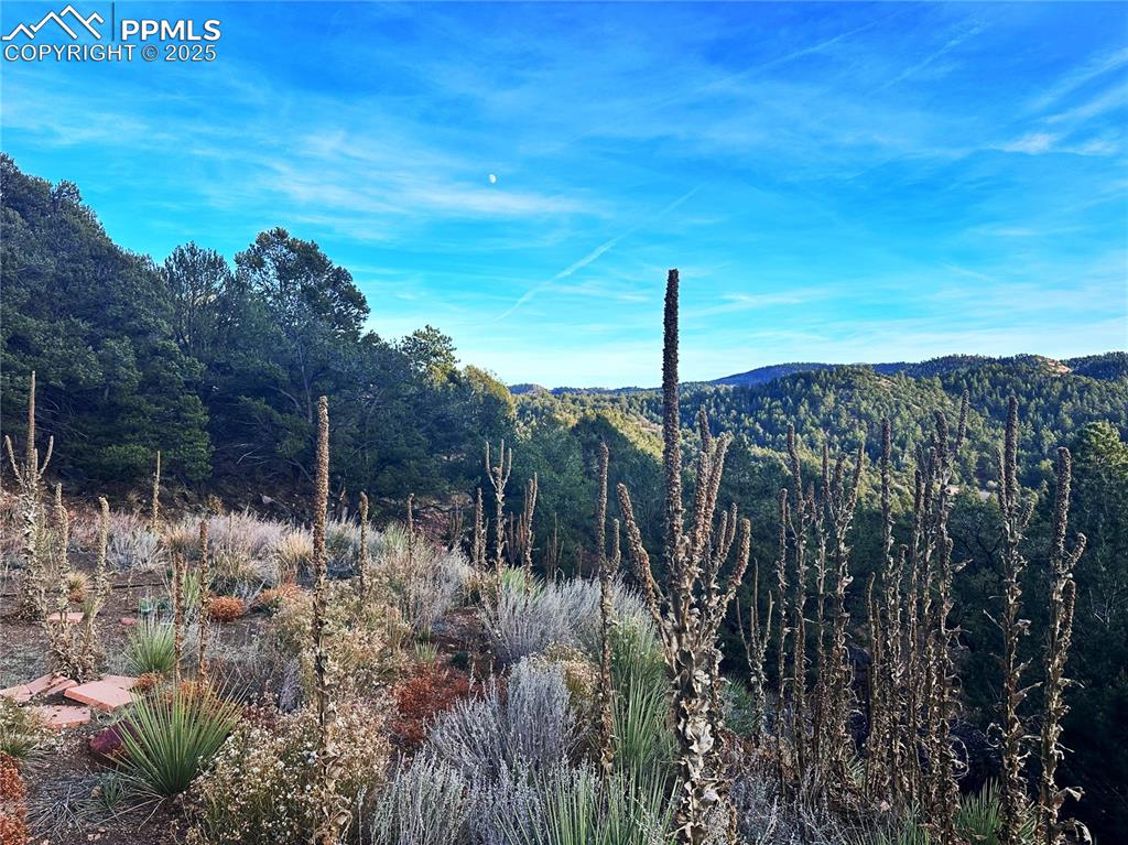 2973 Driftwood Road Westcliffe, CO 81252 - Photo 4 of 16 View of mountain background with a heavily wooded area