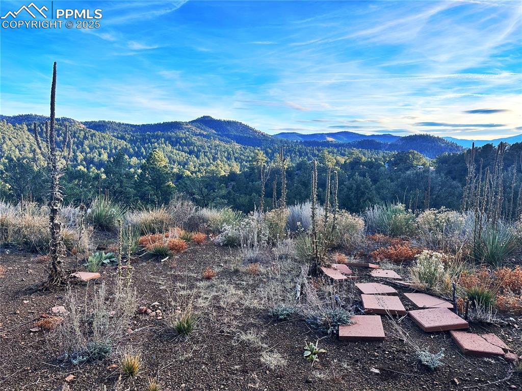 2973 Driftwood Road Westcliffe, CO 81252 - Photo 5 of 16 Mountain view with a forest