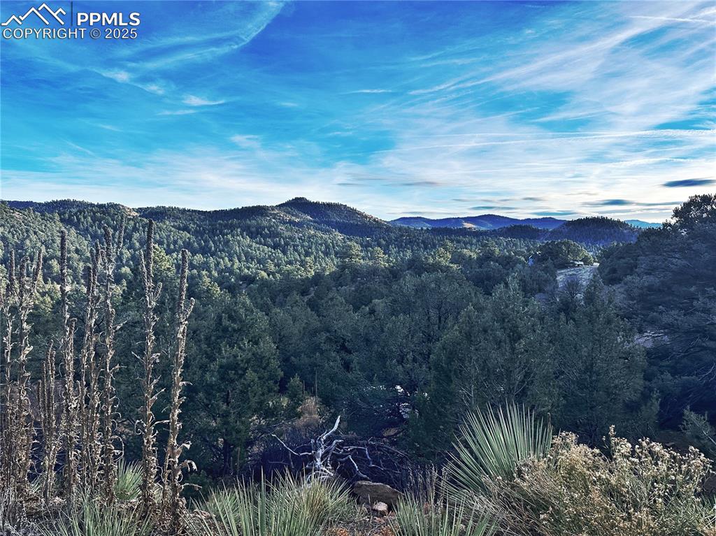 2973 Driftwood Road Westcliffe, CO 81252 - Photo 6 of 16 View of mountain background with a heavily wooded area