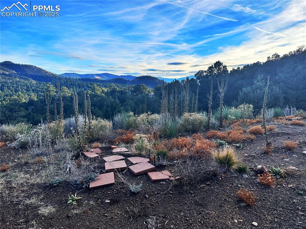 2973 Driftwood Road Westcliffe, CO 81252 - Photo 7 of 16 Mountain view featuring a heavily wooded area