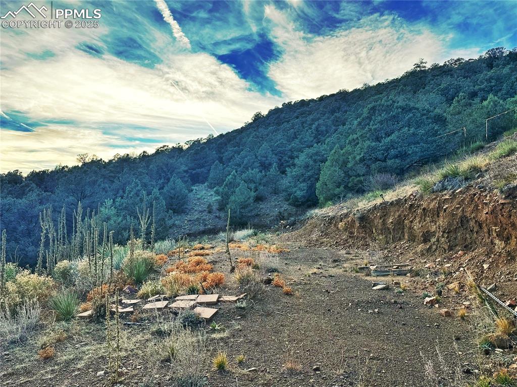 2973 Driftwood Road Westcliffe, CO 81252 - Photo 8 of 16 View of mountain background with a forest