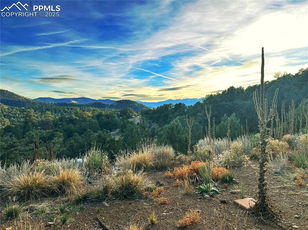 2973 Driftwood Road Westcliffe, CO 81252 - Photo 9 of 16 Mountain view with a forest