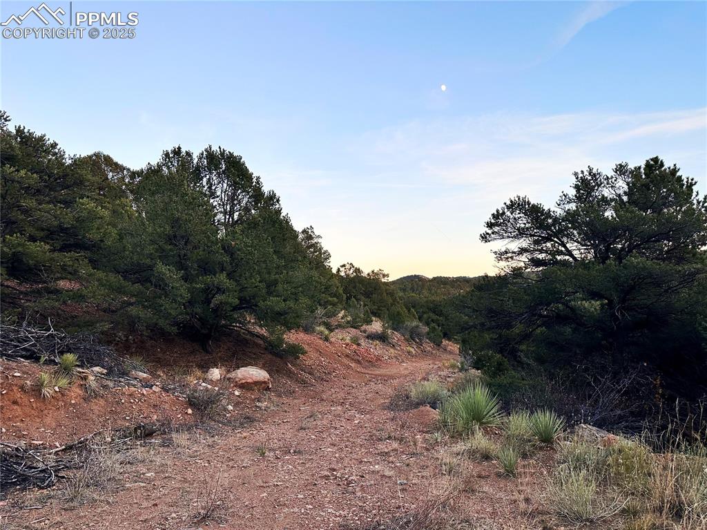2973 Driftwood Road Westcliffe, CO 81252 - Photo 10 of 16 Road to the property
