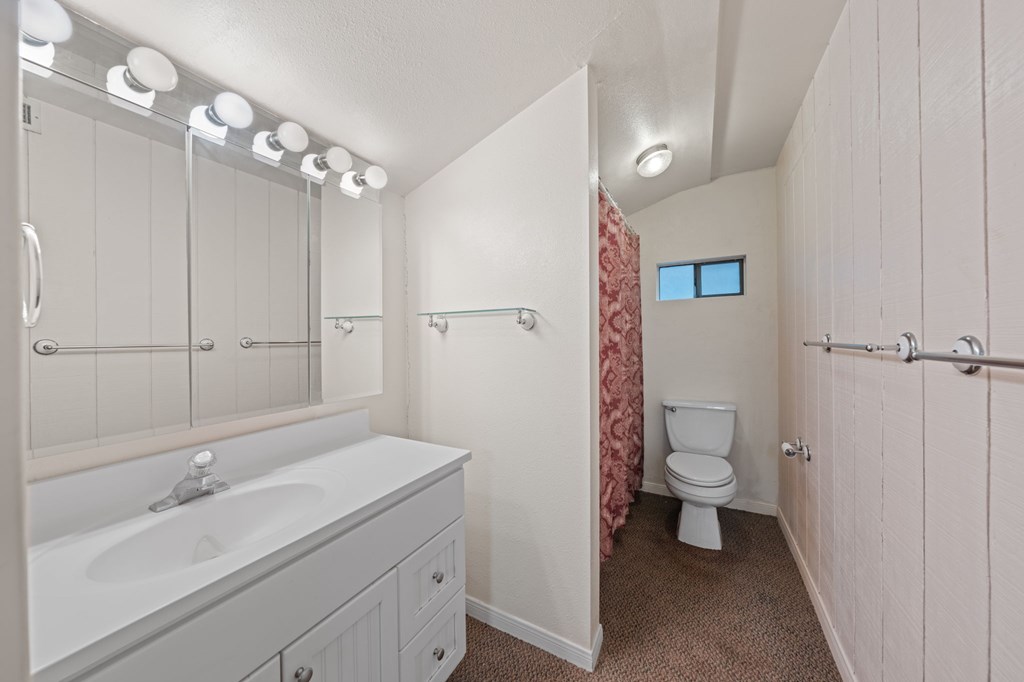 1209 Park Street Kerrville, TX 78028 - Photo 23 of 28 a bathroom with a sink a toilet and shower