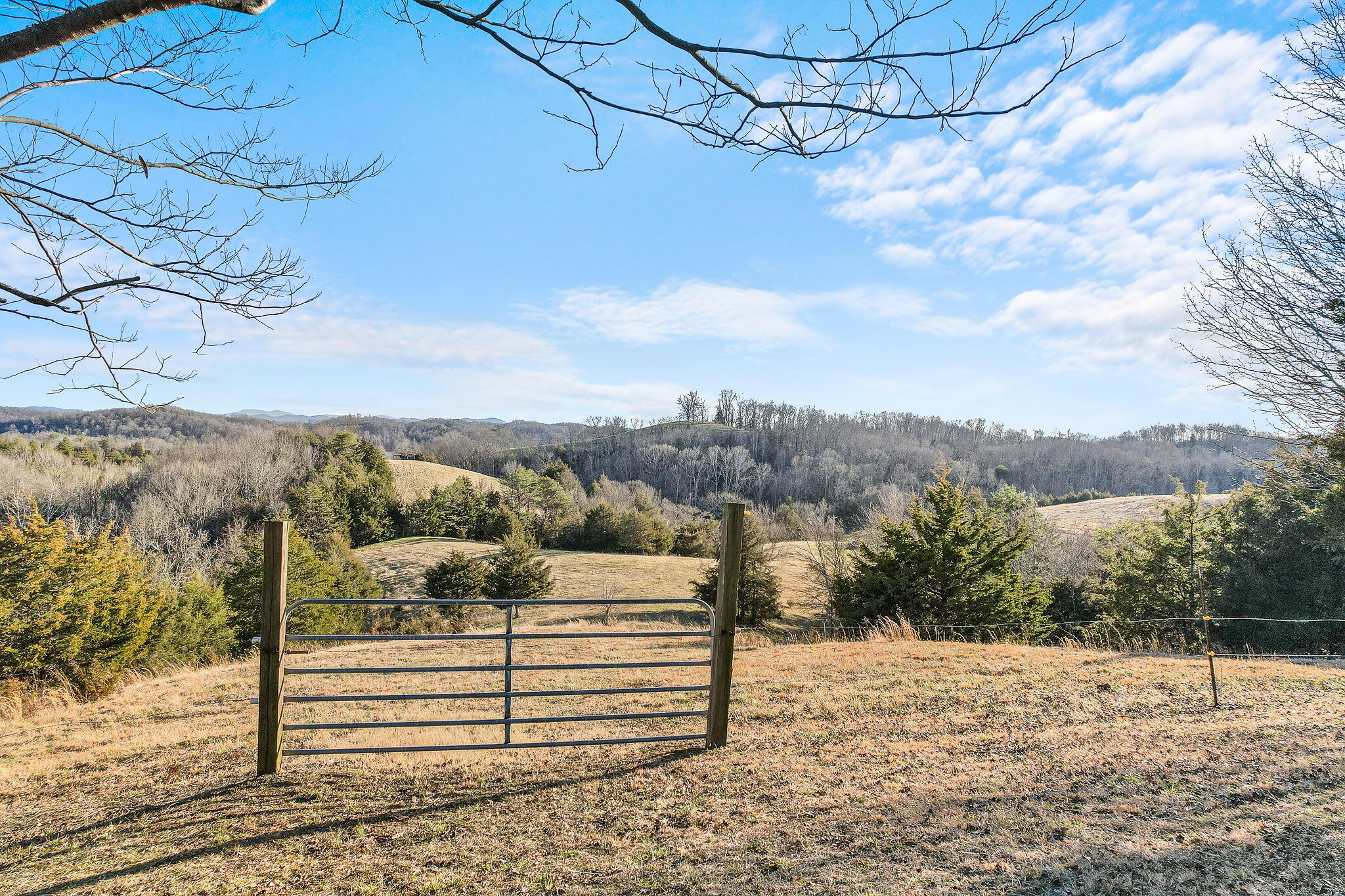 3405 Sinking Springs Road Midway, TN 37809 - Photo 3 of 28 3-web-or-mls-Sinking Springs 5