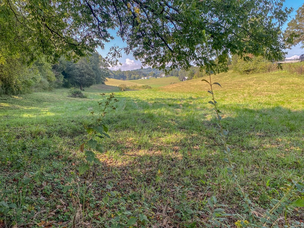 137 Old James Ferry Road Kingston, TN 37763 - Photo 51 of 60