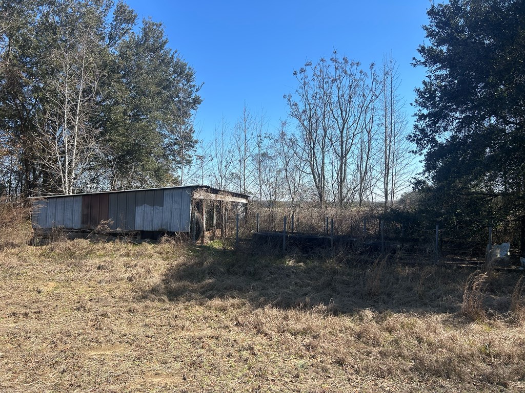 31.5-ac 31.5-ac Rammer Loop Road Dothan, AL 36301 - Photo 35 of 49