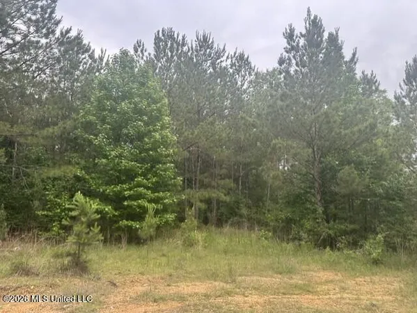 $60,000 | 1048 Williamson Road, Wesson, MS 39191