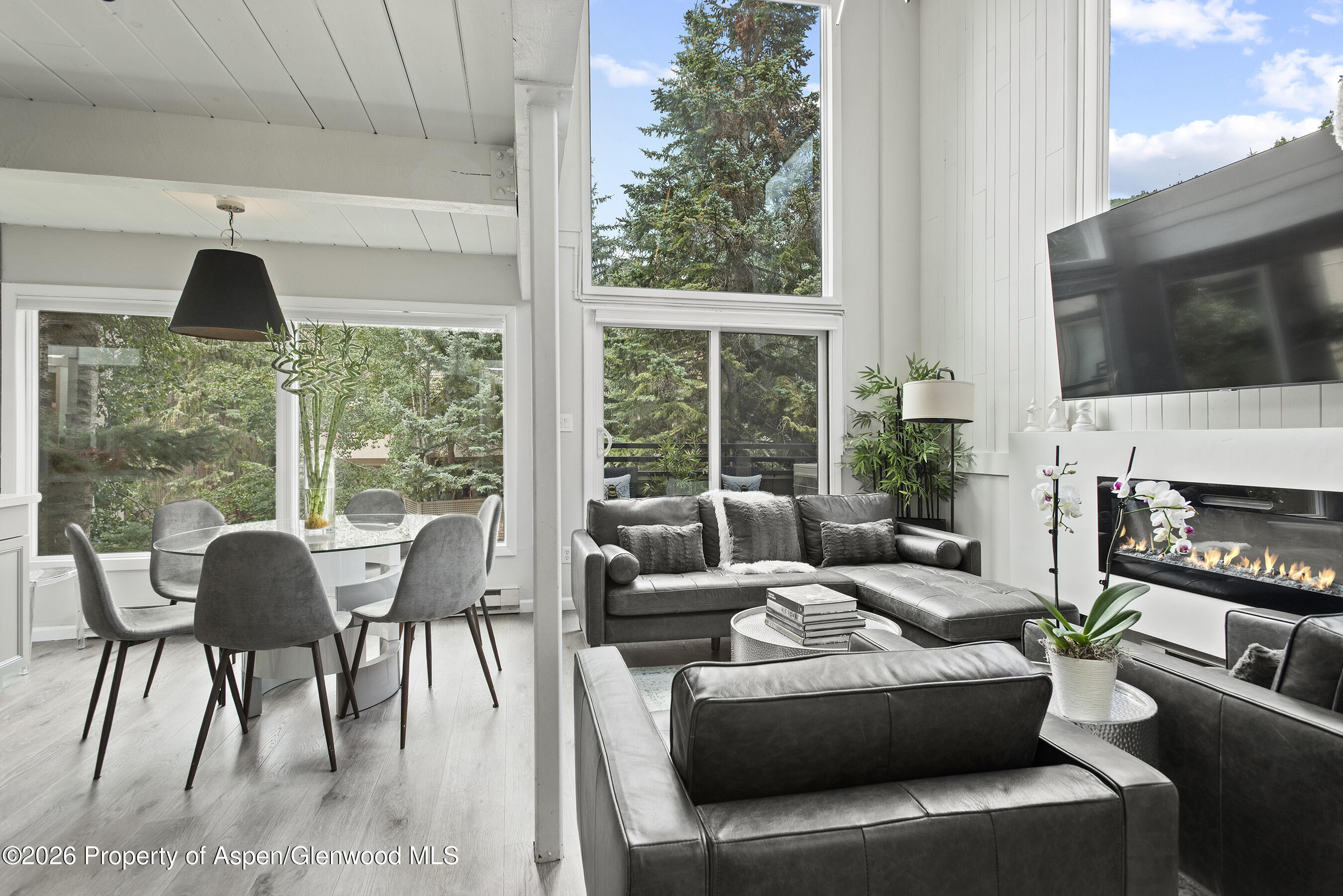 Living/Dining 3