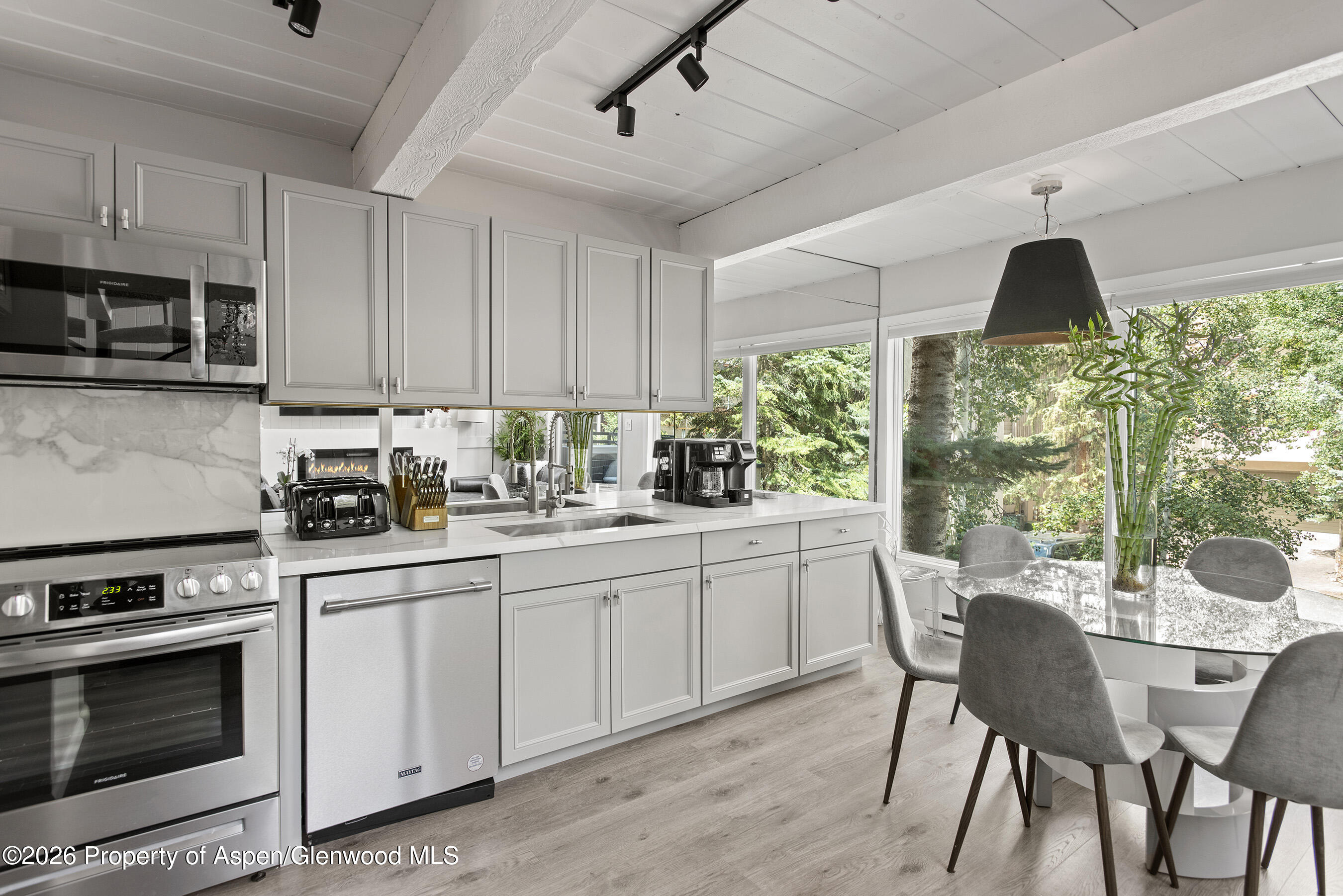 1024 East Cooper Avenue, Unit 2 Aspen, CO 81611 - Photo 13 of 25 Kitchen/Dining 4