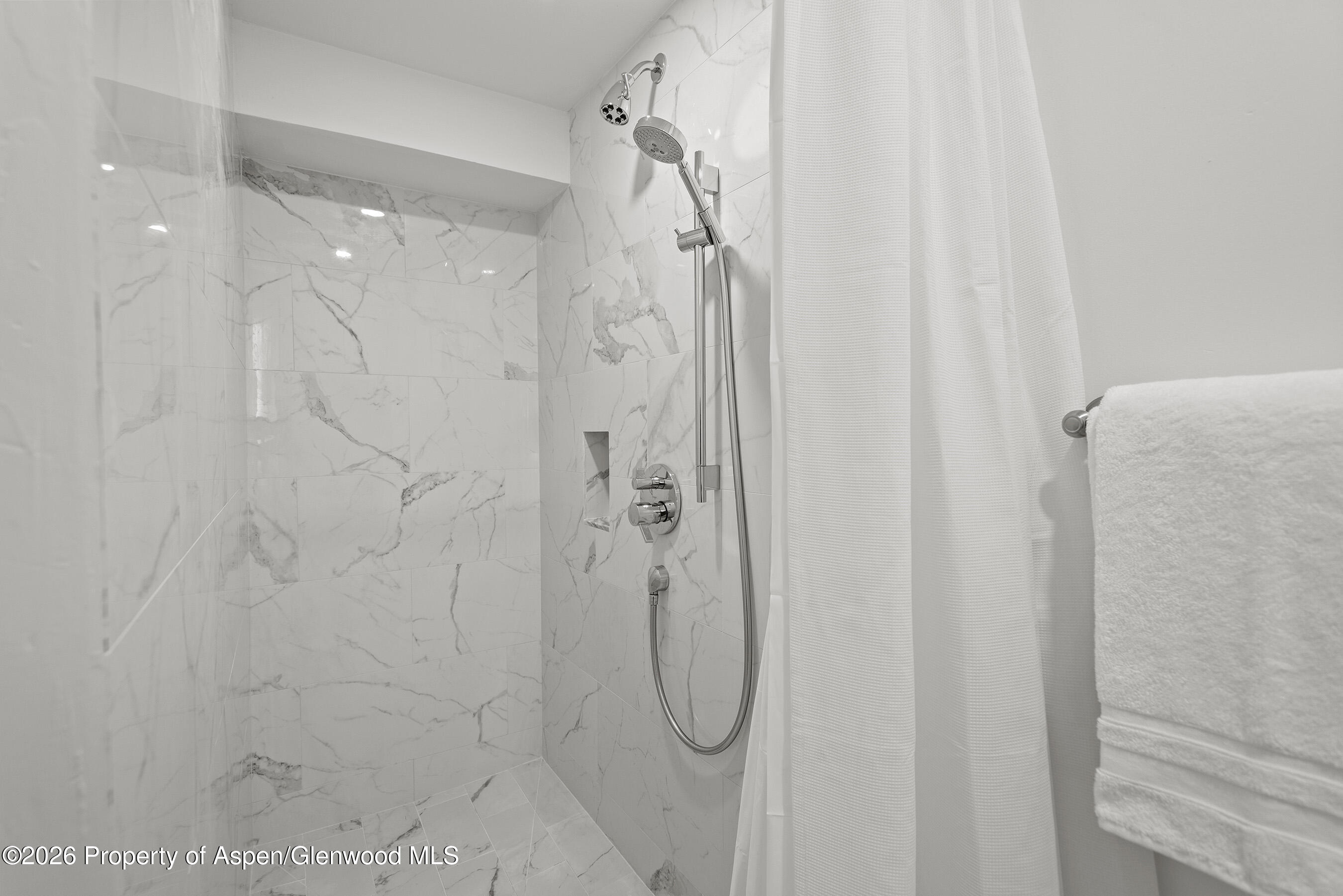 1024 East Cooper Avenue, Unit 2 Aspen, CO 81611 - Photo 18 of 25 Primary Shower