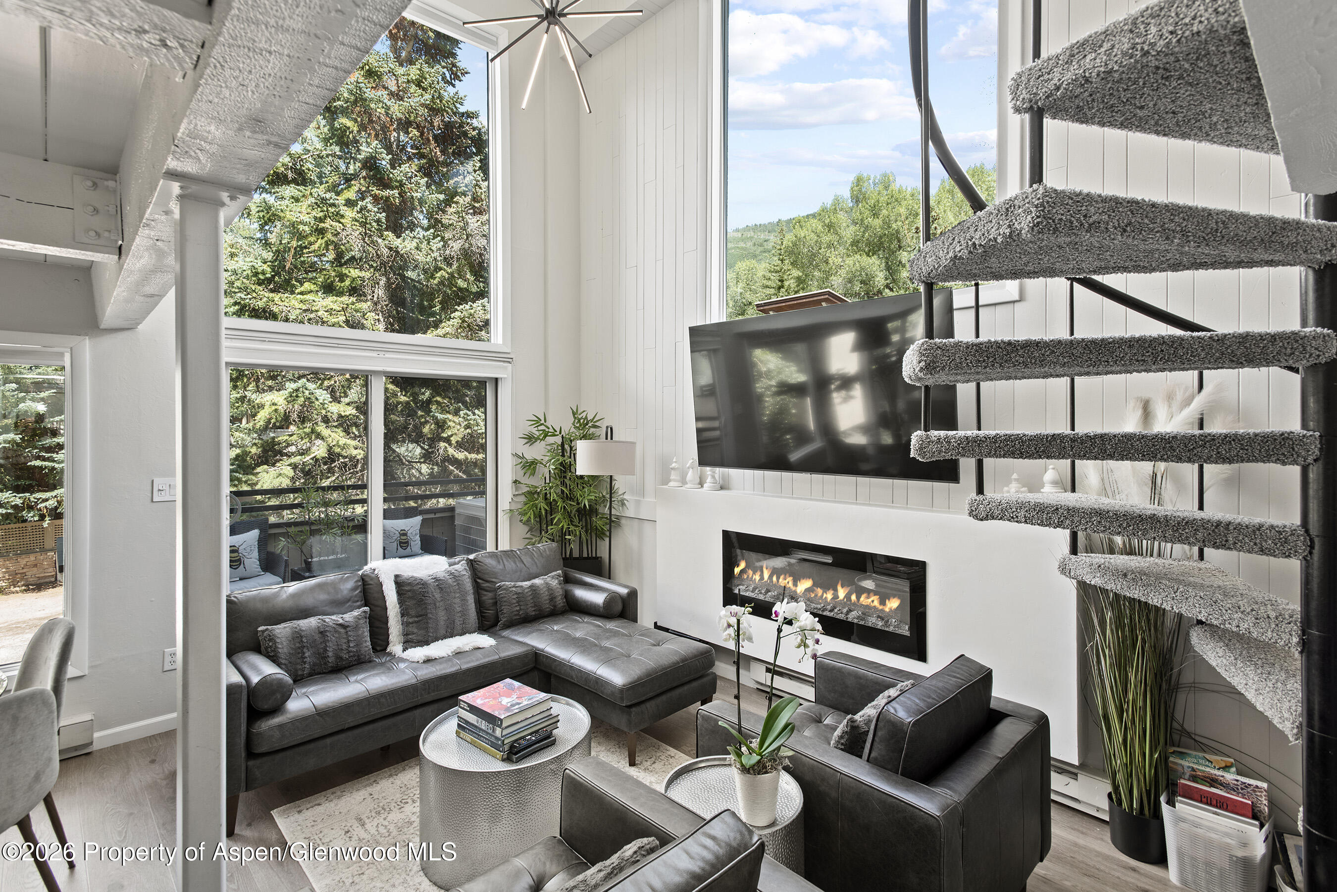 1024 East Cooper Avenue, Unit 2 Aspen, CO 81611 - Photo 4 of 25 Living Room 3