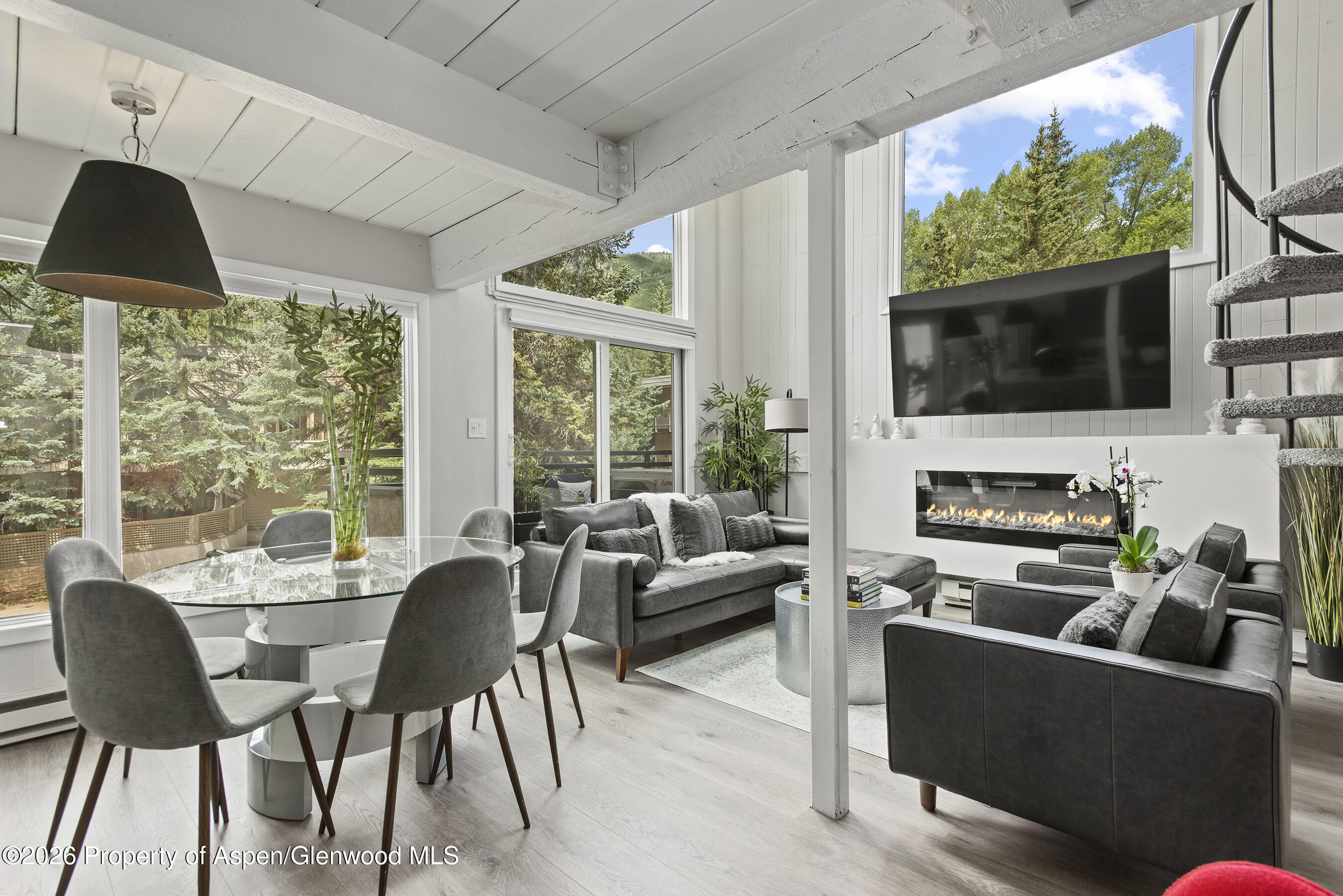 1024 East Cooper Avenue, Unit 2 Aspen, CO 81611 - Photo 8 of 25 Living/Dining 4
