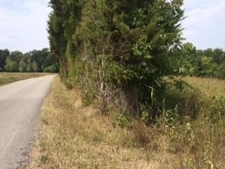 4 Hack Brown Road Franklin, KY 42134 - Photo 2 of 4 Gallery Image 2