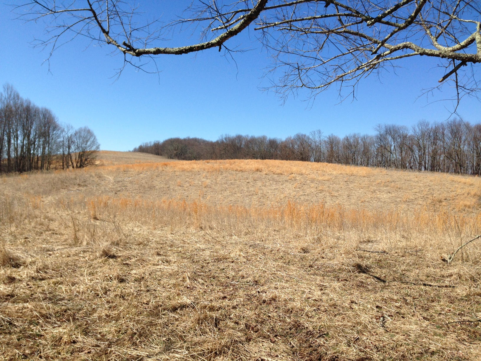 Dillon Road Forest Hill, WV 24935 - Photo 27 of 93 Gallery Image 27