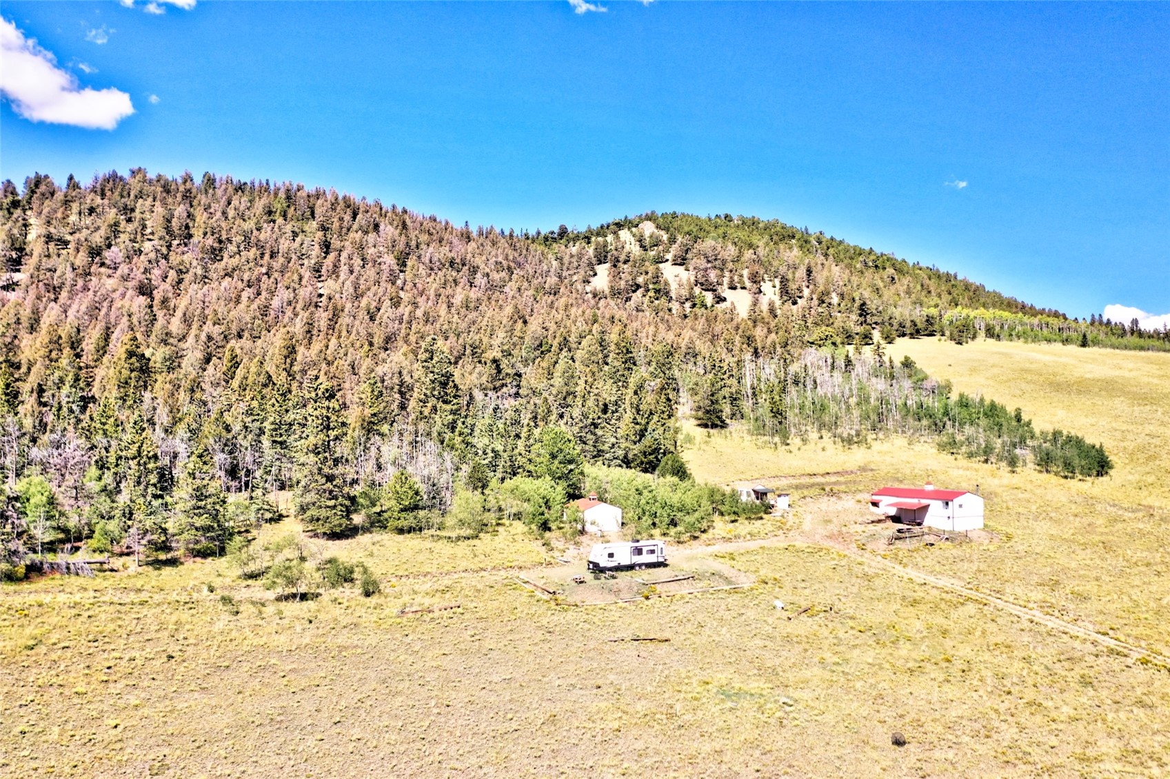 4815 Bar D Road Fairplay, CO 80440 - Photo 24 of 33 Gallery Image 24