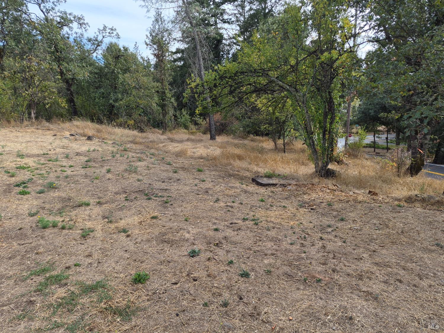 506 White Cottage Road North Angwin, CA 94508 - Photo 40 of 41 Gallery Image 40