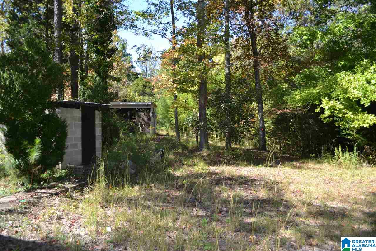 17871 Highway 75, Unit 5 7 ACRES Remlap, AL 35133 - Photo 15 of 23