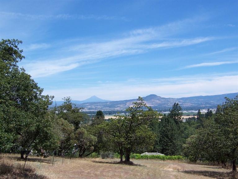2812 Old Military Road Central Point, OR 97502 - Photo 30 of 32 Views - Mt. McLoughlin & Roxy Ann