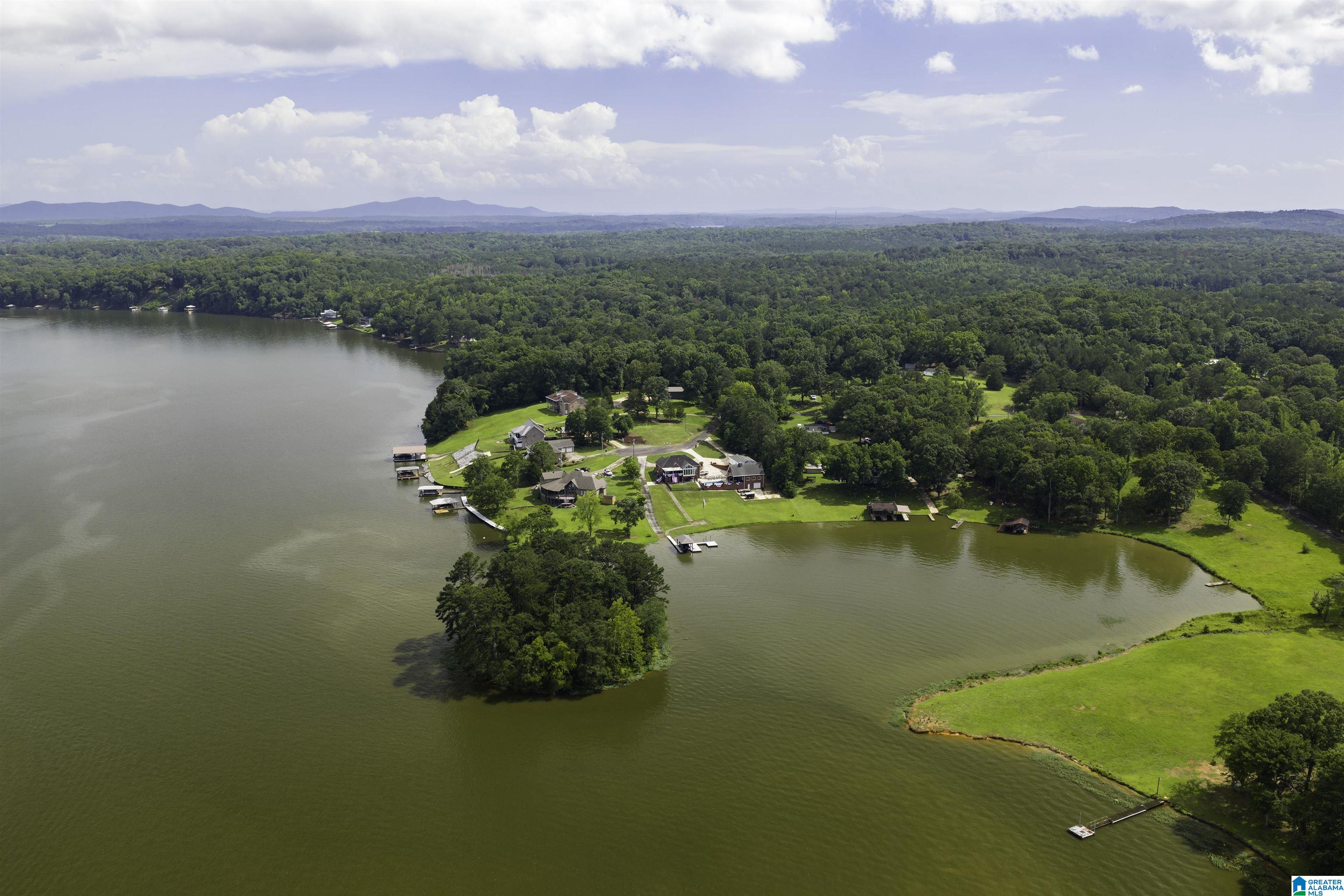 2715 Hamilton Road Pell City, AL 35128 - Photo 68 of 81