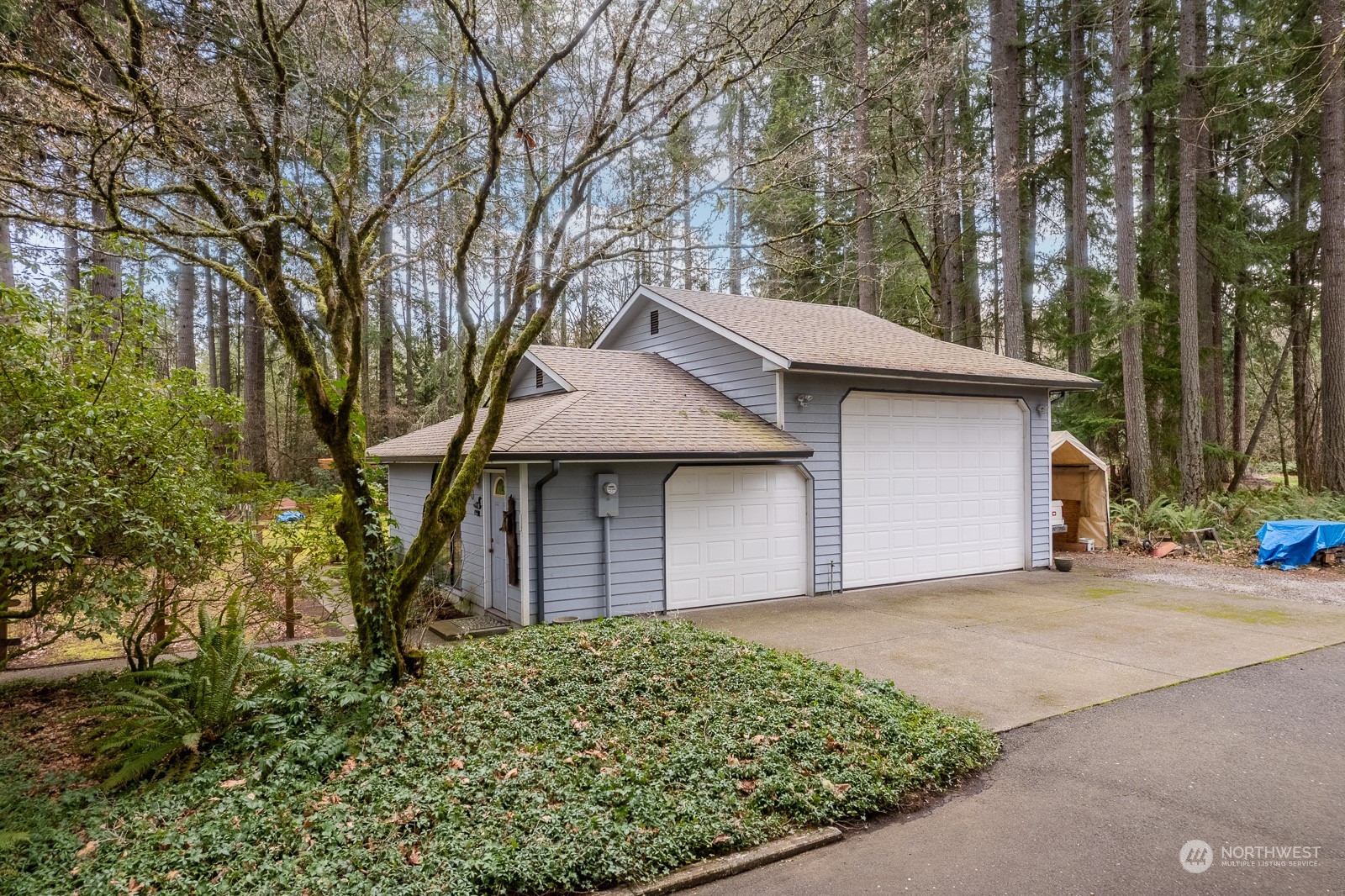 7305 Rixie Road Southeast Olympia, WA 98501 - Photo 3 of 39 Gallery Image 3