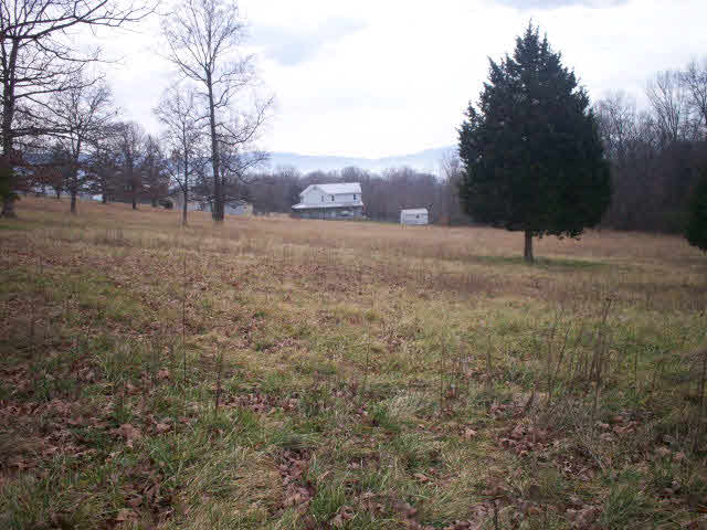 5393 Runkles Gap Road Elkton, VA 22827 - Photo 4 of 4 Gallery Image 4