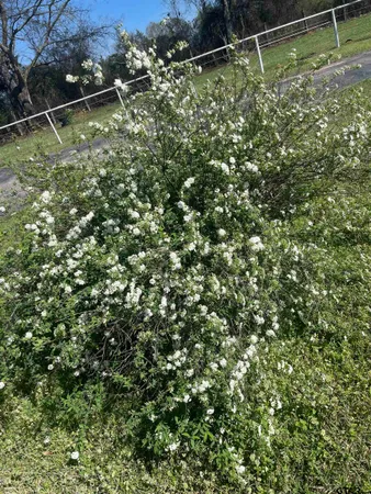 $320,000 | 1624 County Road 1560, Alba, TX 75410