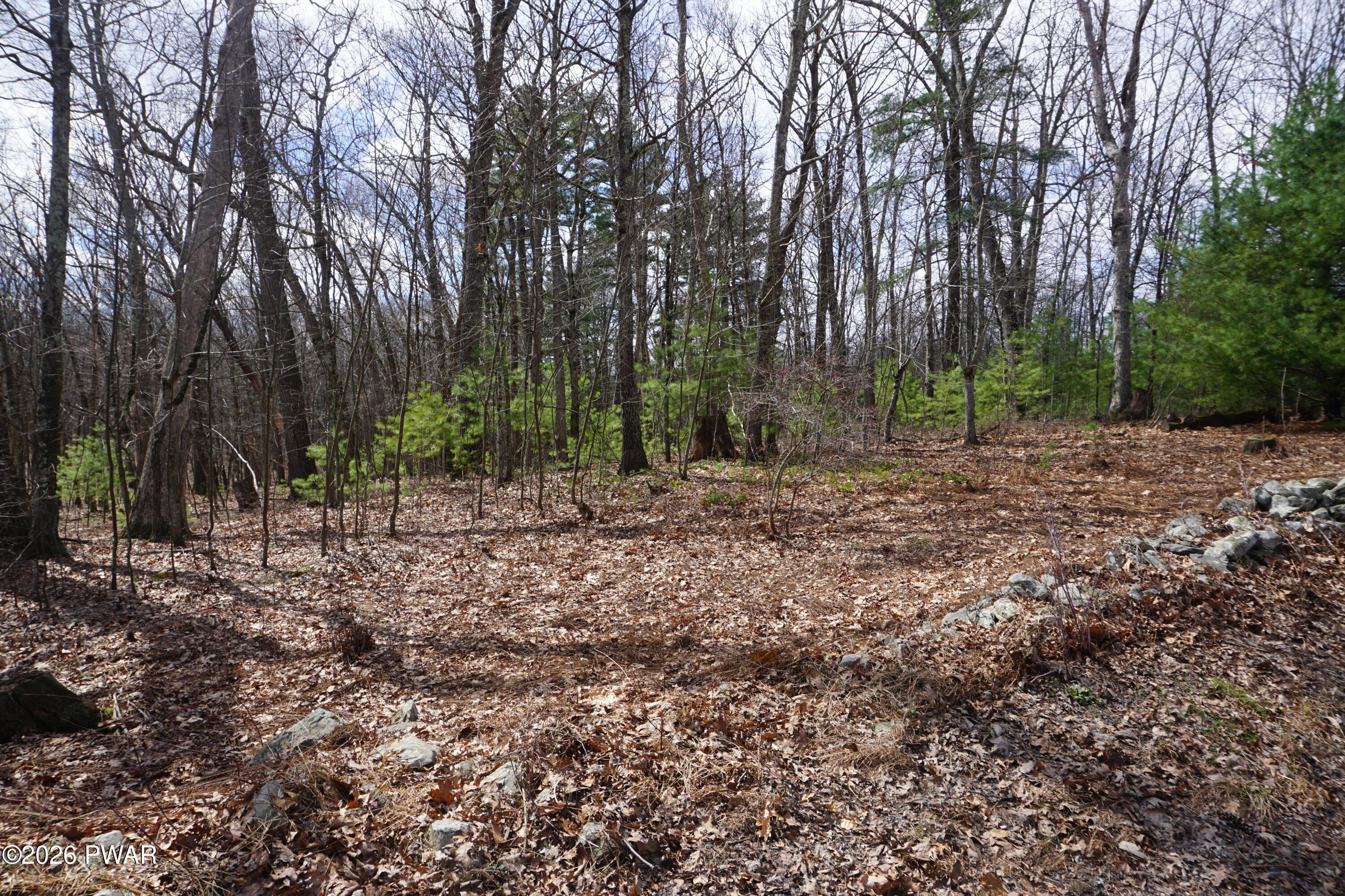 Lot #4 Roosie Road Dingmans Ferry, PA 18328 - Photo 2 of 5