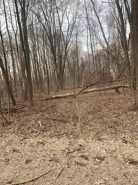 0 Parcel 5 Schafer Road Howell, MI 48843 - Photo 8 of 9 Photo 8