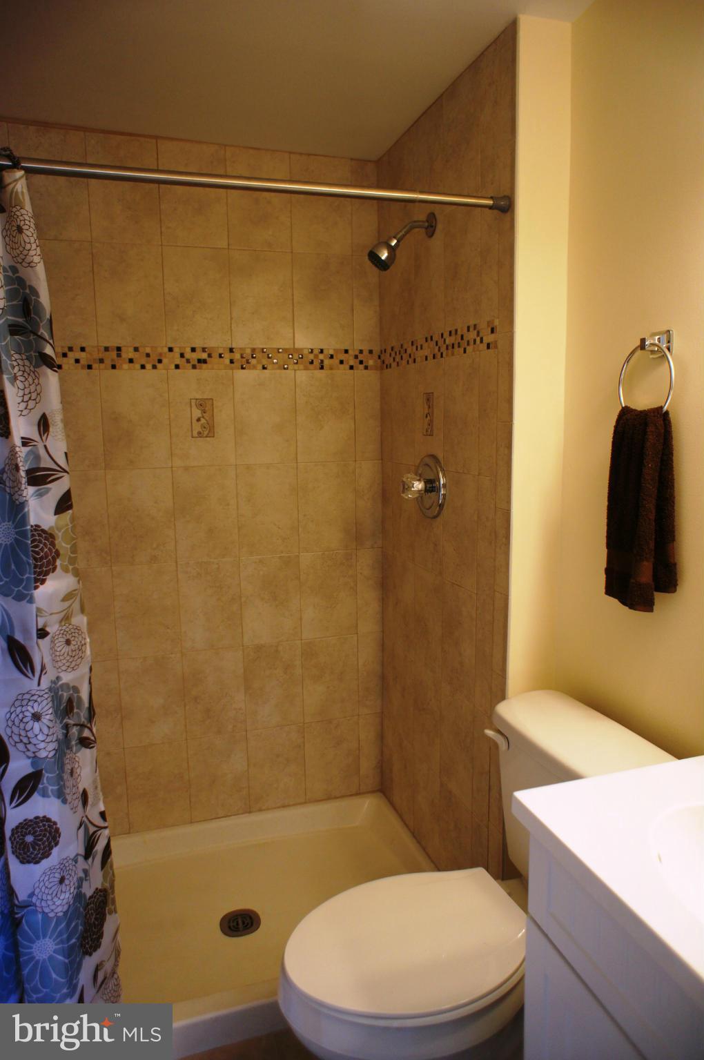 9609 Horizon Run Road, Unit 3E Gaithersburg, MD 20886 - Photo 13 of 18 Bath (Master)